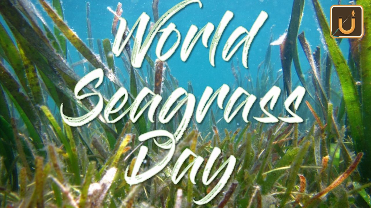 Usthadian Academy / World Seagrass Day 2024